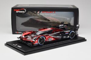 Acura ARX-06 GTP #40 Wayne Taylor Racing with Andretti J. Button / L. Deletraz / C. Herta / J. Taylor 3rd Place Rolex 24 at D — afbeelding 6 van 6